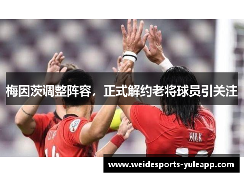 梅因茨调整阵容，正式解约老将球员引关注