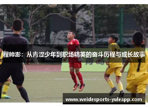 程帅澎：从青涩少年到职场精英的奋斗历程与成长故事