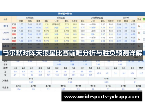 马尔默对阵天狼星比赛前瞻分析与胜负预测详解